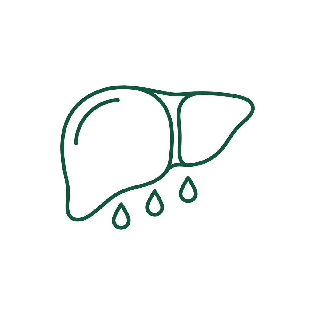 Happy Liver action icon 01